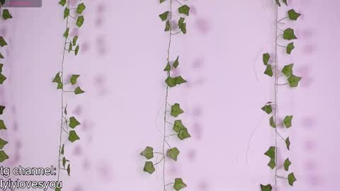 Snapshot of lyly_loveyou chatting on November 18, 5:34 am Lyly online show from November 18, 5:34 am