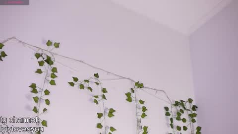 Snapshot of lyly_loveyou chatting on November 24, 5:40 am Lyly online show from November 24, 5:40 am