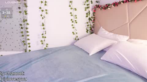 Snapshot of lyly_loveyou chatting on November 28, 6:27 am Lyly online show from November 28, 6:27 am