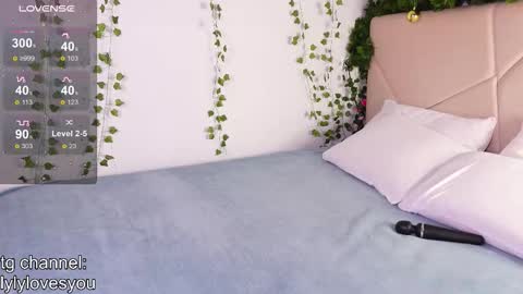 Snapshot of lyly_loveyou chatting on December 5, 6:44 am Lyly online show from December 5, 6:44 am