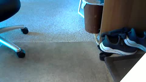 lynne_cd_nj online show from October 1, 8:26 pm