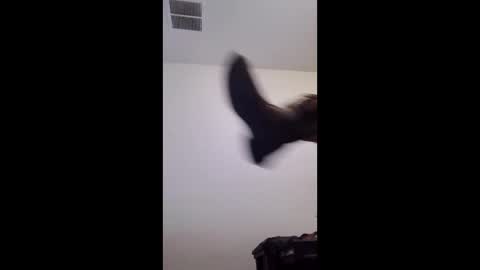 m2tonerfux online show from April 25, 5:21 am