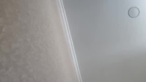 Snapshot of machine2291 chatting on February 23, 9:39 am Tchia online show from February 23, 9:39 am