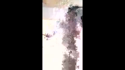 maciasbraulio846 online show from February 3, 6:00 am