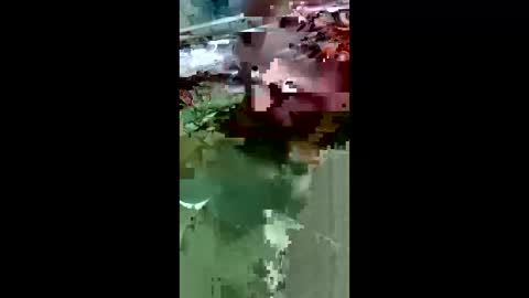 maciasbraulio846 online show from March 14, 9:48 am