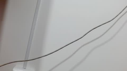 Snapshot of maddy_14 chatting on December 21, 12:16 pm Maddy UwU online show from December 21, 12:16 pm