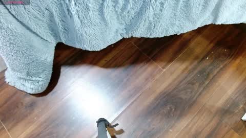 Snapshot of maddy_14 chatting on January 28, 12:32 pm Maddy UwU online show from January 28, 12:32 pm