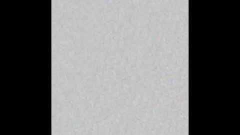 Madison   online show from March 26, 1:38 pm