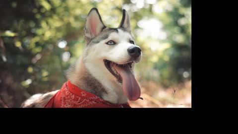 magic_katarina_ online show from January 25, 2:36 pm