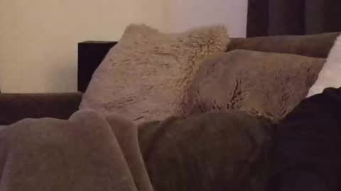 magic_passionitaliano online show from March 3, 6:36 pm