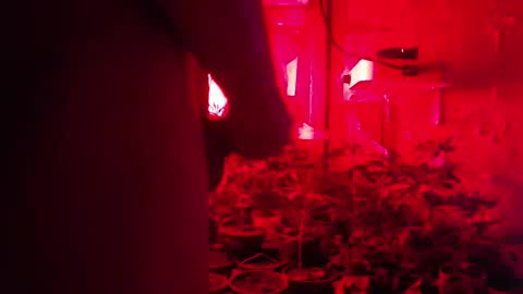 Snapshot of maicom222 chatting on October 12, 2:43 am SILVA online show from October 12, 2:43 am