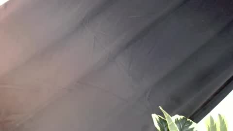 Snapshot of majesticcock_kyla chatting on October 22, 12:16 pm majesticcock_kyla online show from October 22, 12:16 pm