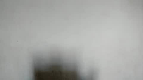 MAJO ROSE  online show from February 1, 9:40 pm