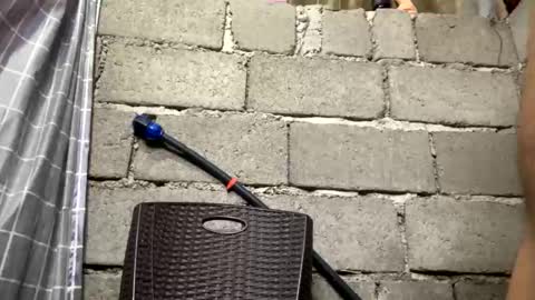 Tinaj online show from March 4, 8:31 am