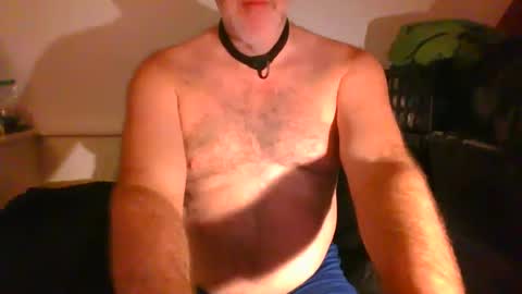 Snapshot of malebdsmslut chatting on September 9, 7:08 am CommandbondageNipples bondage kink submissive lovense slave wgear. modequiethvyBondage If Password goldfish online show from September 9, 7:08 am