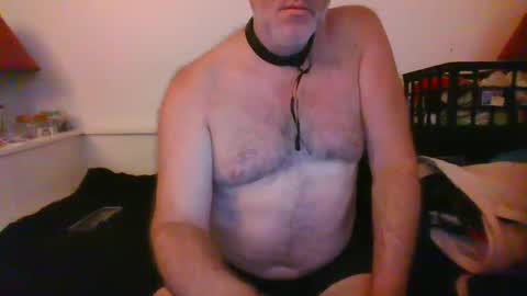 Snapshot of malebdsmslut chatting on September 27, 10:20 am CommandbondageNipples bondage kink submissive lovense slave wgear. modequiethvyBondage If Password goldfish online show from September 27, 10:20 am