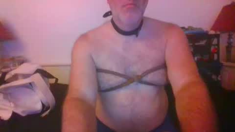Snapshot of malebdsmslut chatting on October 14, 7:31 am CommandbondageNipples bondage kink submissive lovense slave wgear. modequiethvyBondage If Password goldfish online show from October 14, 7:31 am