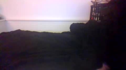 Snapshot of malebdsmslut chatting on October 20, 7:20 am CommandbondageNipples bondage kink submissive lovense slave wgear. modequiethvyBondage If Password goldfish online show from October 20, 7:20 am