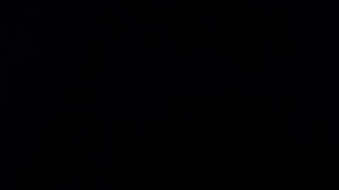 Snapshot of maliceinwonderland25 chatting on November 16, 3:45 am Alice Asylum online show from November 16, 3:45 am