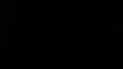 Alice Asylum online show from April 19, 9:28 pm