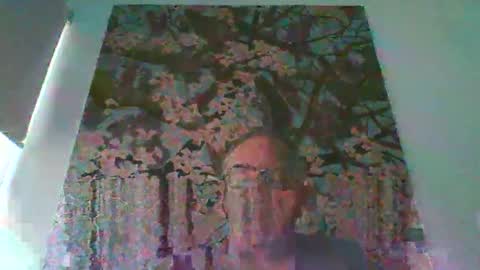 Snapshot of mambow99 chatting on April 4, 9:45 pm OLDMANFREE online show from April 4, 9:45 pm