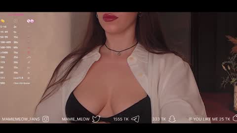 Snapshot of mamiemeow chatting on February 3, 4:31 pm Your Miss Alice online show from February 3, 4:31 pm