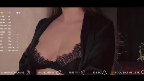 Snapshot of mamiemeow chatting on February 10, 4:58 pm Your Miss Alice online show from February 10, 4:58 pm