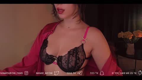 Snapshot of mamiemeow chatting on March 16, 8:29 am Your Miss Alice online show from March 16, 8:29 am