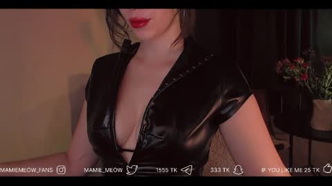Snapshot of mamiemeow chatting on April 1, 6:03 am Your Miss Alice online show from April 1, 6:03 am