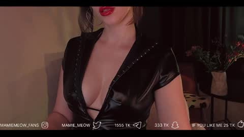Snapshot of mamiemeow chatting on April 1, 1:41 pm Your Miss Alice online show from April 1, 1:41 pm