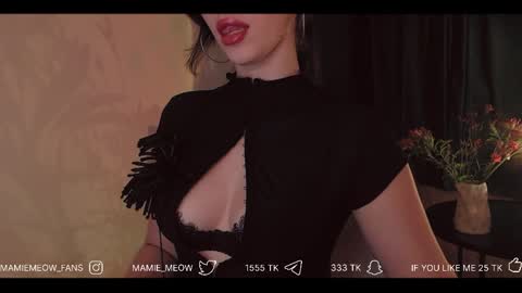 Snapshot of mamiemeow chatting on April 2, 3:31 pm Your Miss Alice online show from April 2, 3:31 pm