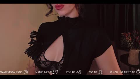 Snapshot of mamiemeow chatting on April 3, 1:53 pm Your Miss Alice online show from April 3, 1:53 pm
