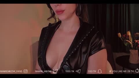 Snapshot of mamiemeow chatting on April 4, 4:15 pm Your Miss Alice online show from April 4, 4:15 pm