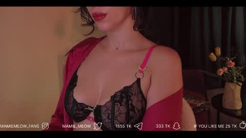 Snapshot of mamiemeow chatting on April 7, 12:16 pm Your Miss Alice online show from April 7, 12:16 pm