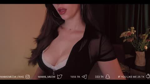 Snapshot of mamiemeow chatting on April 10, 6:07 am Your Miss Alice online show from April 10, 6:07 am