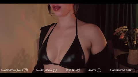 Snapshot of mamiemeow chatting on April 15, 6:26 pm Your Miss Alice online show from April 15, 6:26 pm
