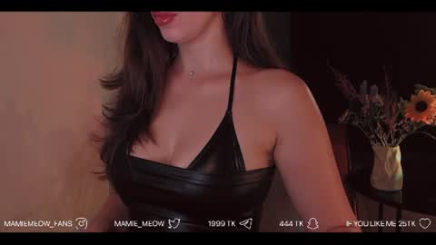 Snapshot of mamiemeow chatting on July 23, 4:49 pm Your Miss Alice online show from July 23, 4:49 pm