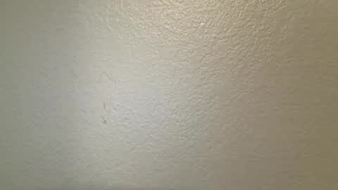 mamiilatina2500 online show from March 24, 4:45 pm