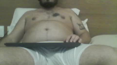 manatee bear online show from December 22, 2:30 am