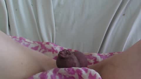 ..          .. online show from February 22, 5:35 pm