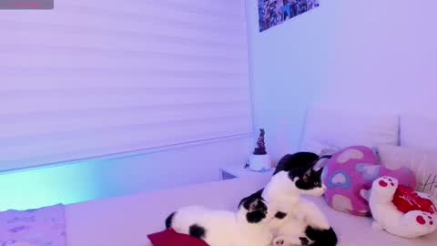 Snapshot of manelyk_10 chatting on February 2, 10:08 pm online show from February 2, 10:08 pm