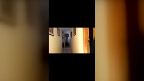 marcos260526 online show from February 1, 3:43 pm