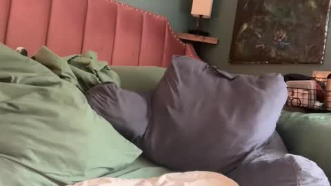 Elle online show from April 24, 1:46 pm