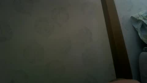 margotshorse online show from March 19, 11:25 am