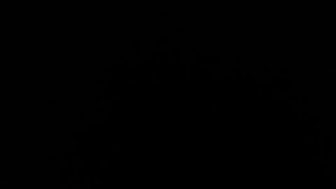 Snapshot of mariana_aria chatting on June 5, 12:17 am mariana aria online show from June 5, 12:17 am