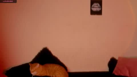 Snapshot of marianawlls chatting on February 22, 1:00 am mariana williams online show from February 22, 1:00 am