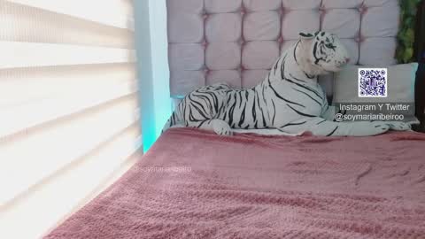 Snapshot of mariaribeiro chatting on January 7, 7:49 pm mariaribeiro online show from January 7, 7:49 pm