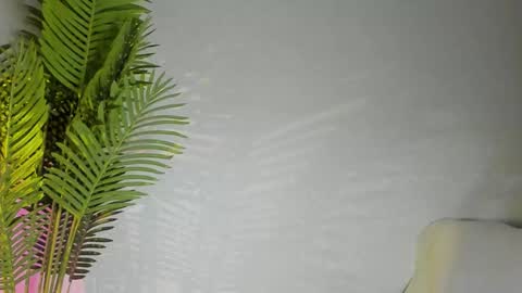 Masha online show from November 8, 7:45 pm