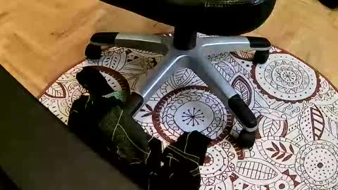 marcoxxl online show from March 22, 2:42 pm