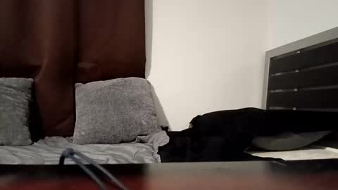 markbwcusmc online show from January 15, 2:10 pm